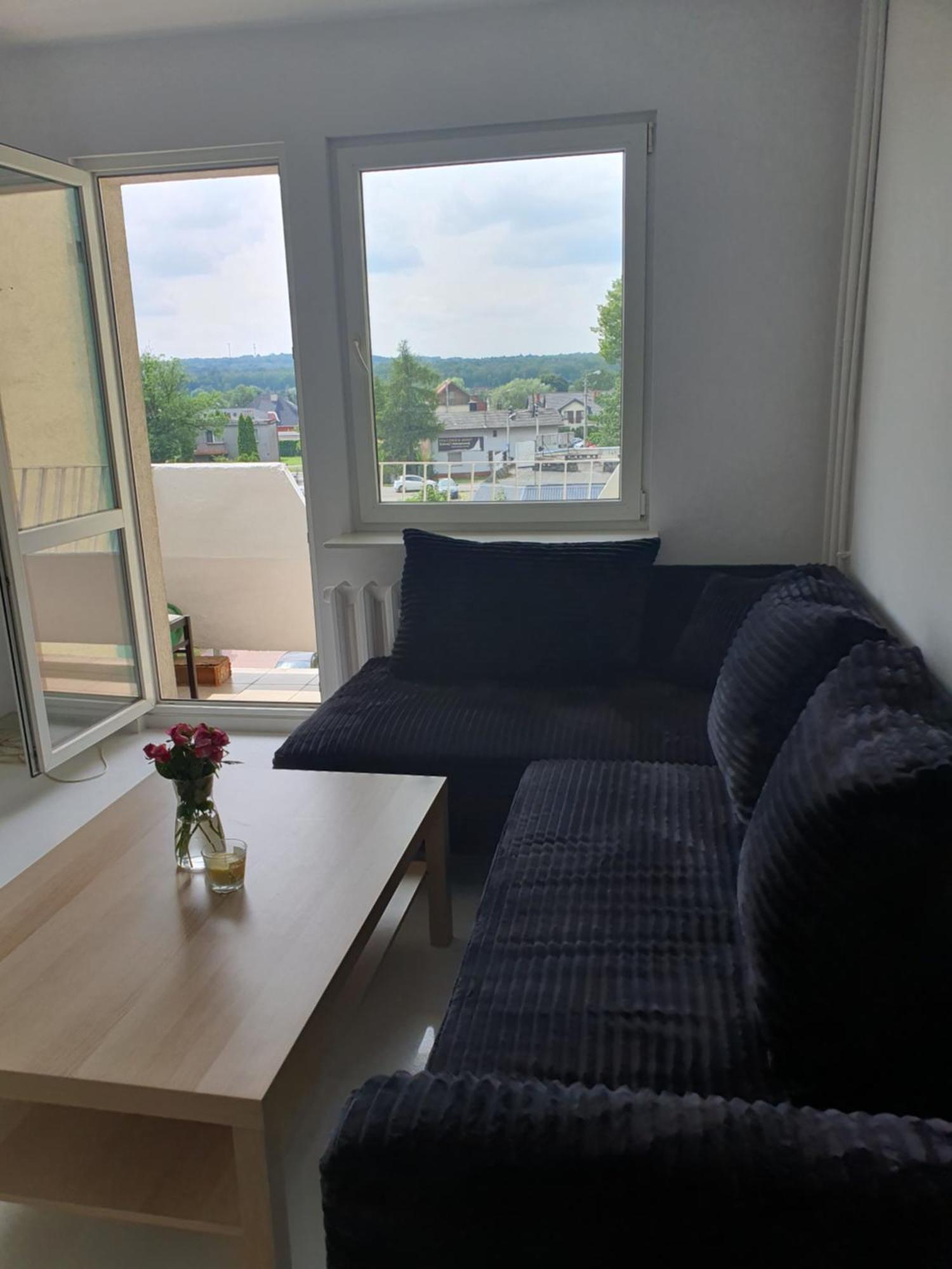 Brzeczki Apart Myslowice Extérieur photo